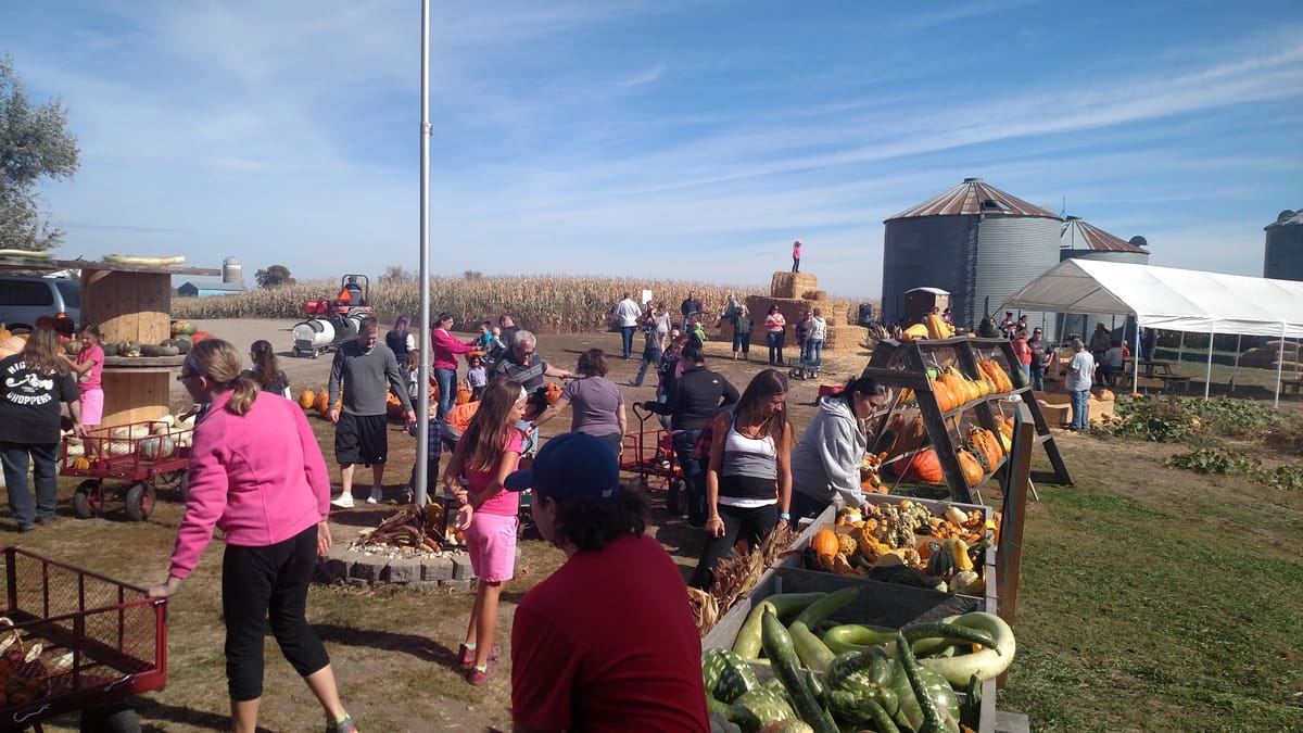 Big Stone Pumpkin Patch — Pumpkins farm in Big Stone City, SD