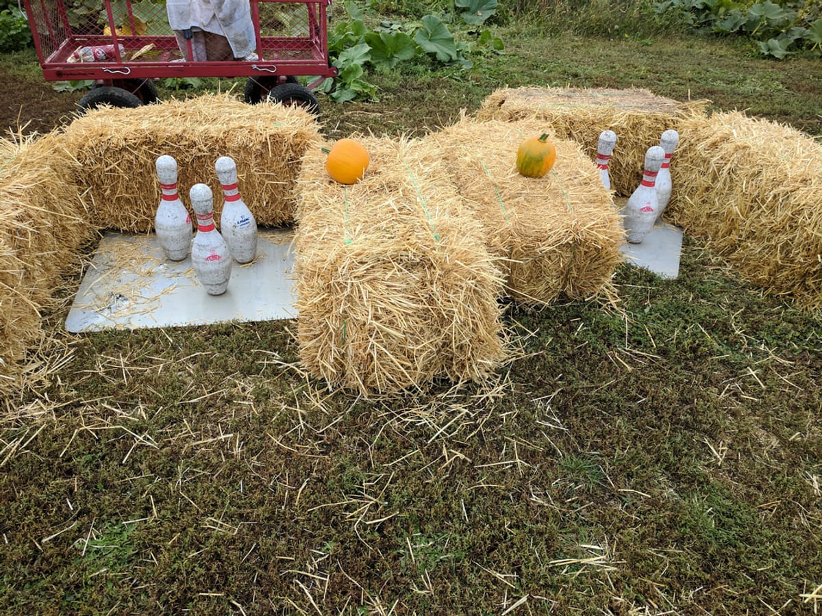 Big Stone Pumpkin Patch photo 4