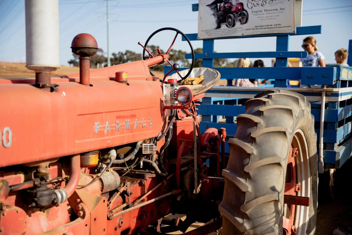 Carlsbad Strawberry Company photo 2