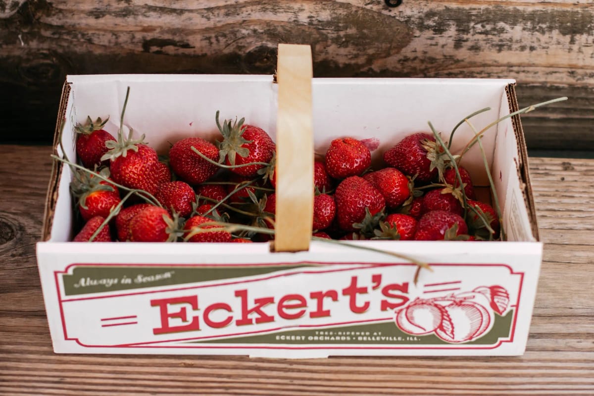 Eckert's Belleville Farm — Pumpkins farm in Belleville, IL