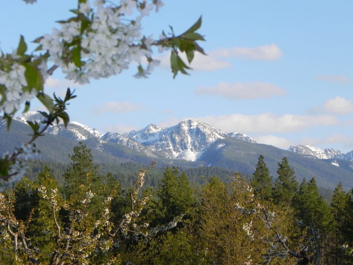 Fat Robin Orchard & Farm — Apples farm in Polson, MT