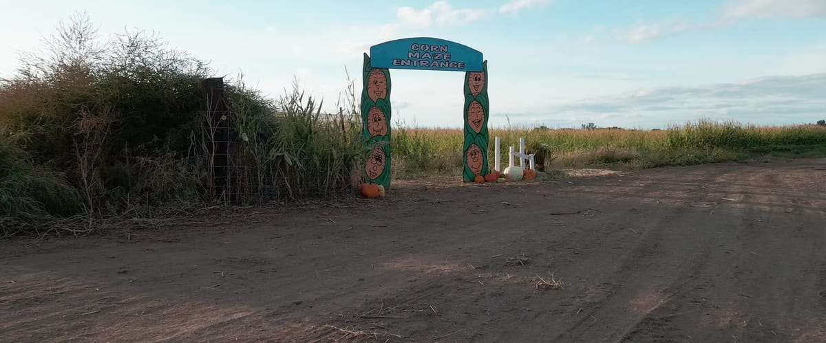 Lattin Farms — Pumpkins farm in Fallon, NV