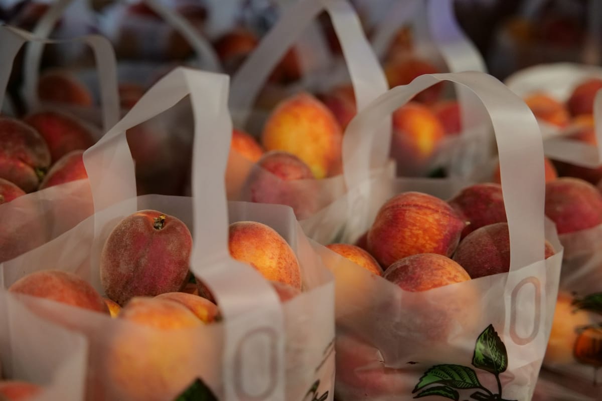 Mercier Orchards photo 2