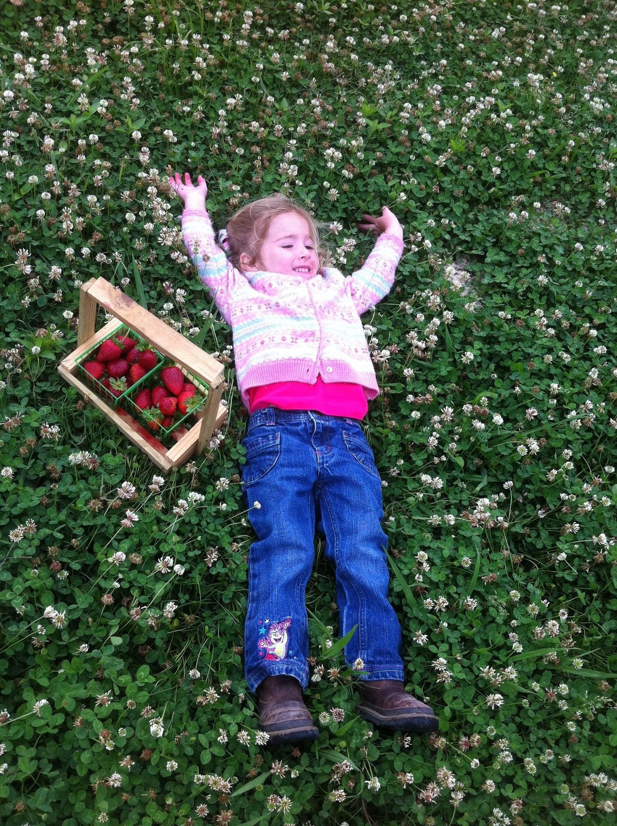 Mrs. Heather's Strawberry Farm — Pumpkins farm in Albany, LA