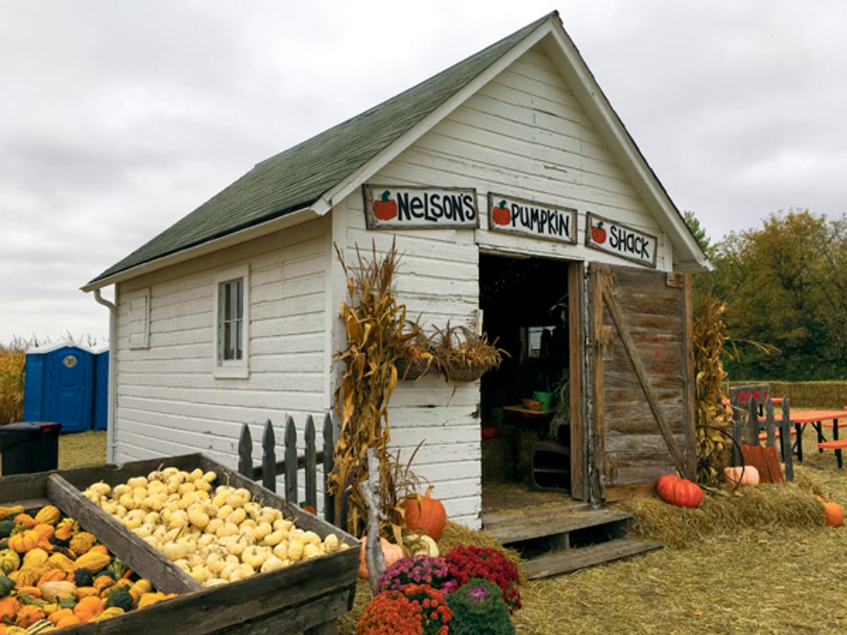 PMKN NelsonsPumpkinPatch01 (Devon Abler)