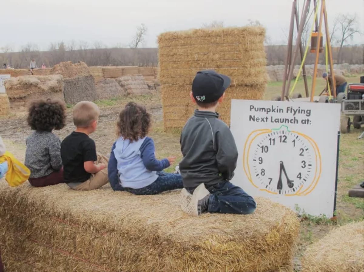 Papa's Pumpkin Patch photo 3