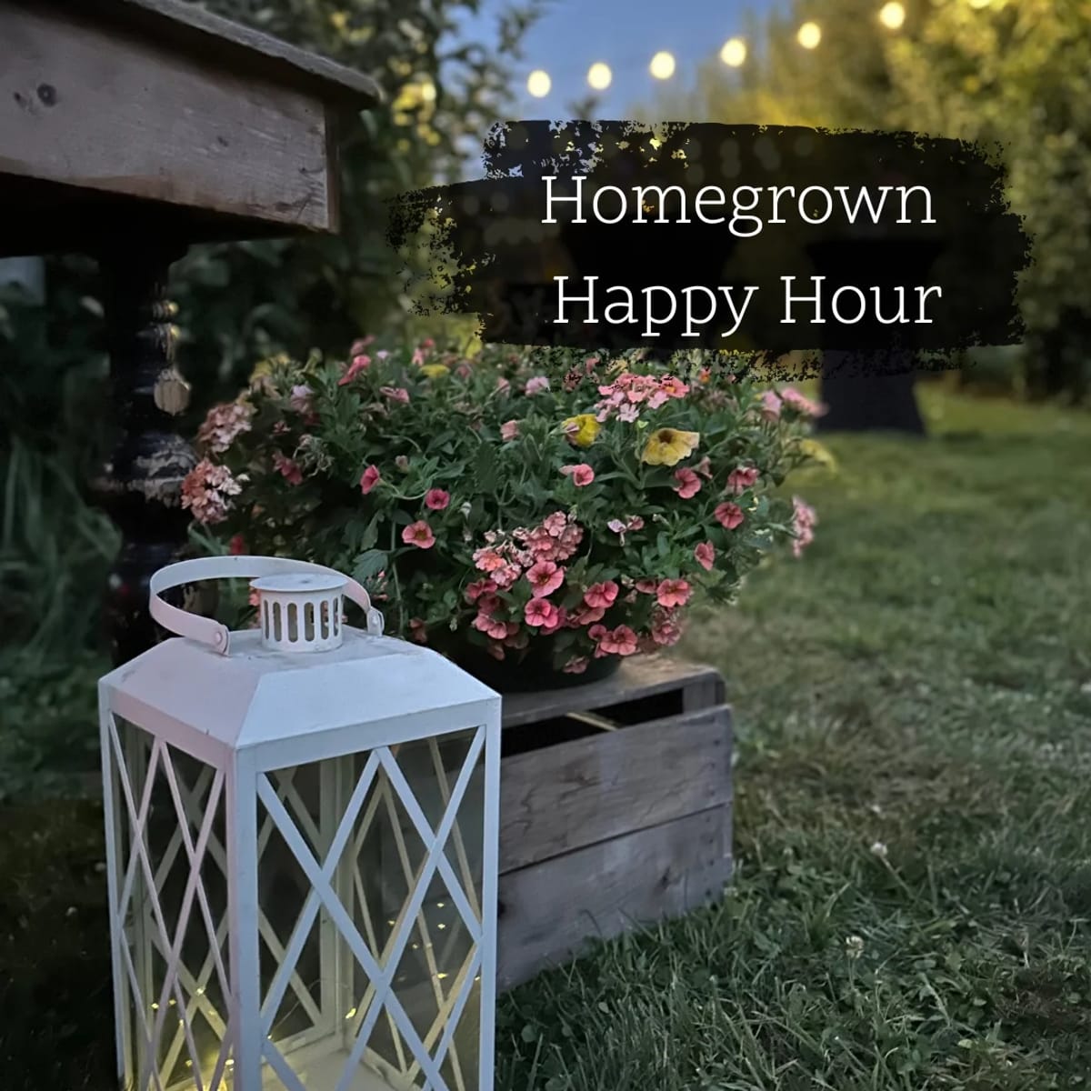Soergel Orchards photo 3