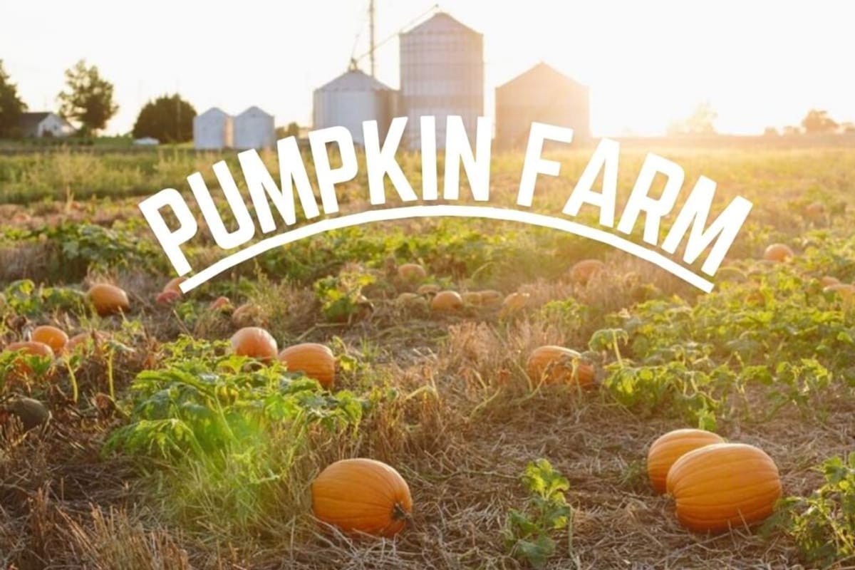 Tate Farms photo 5
