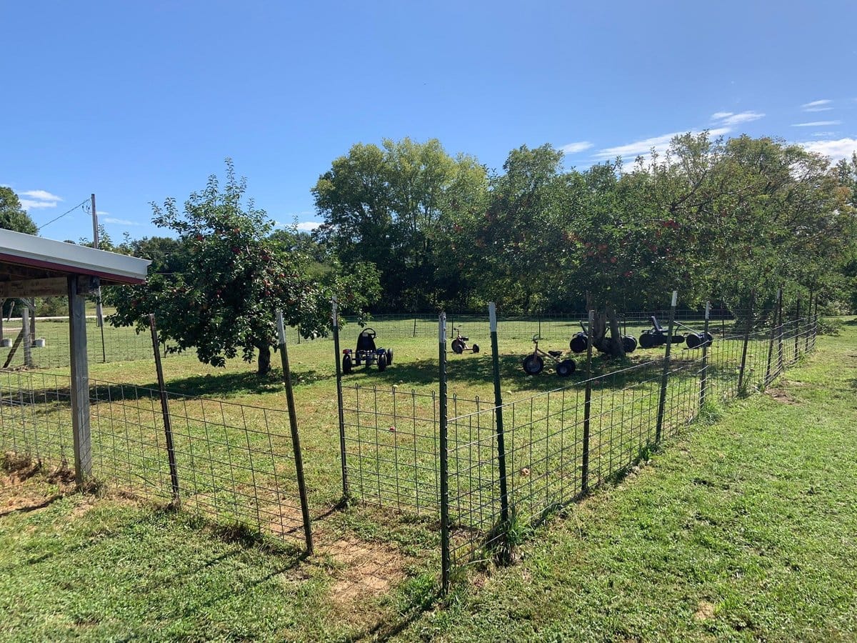 Thierbach Orchards & Berry Farm photo 5