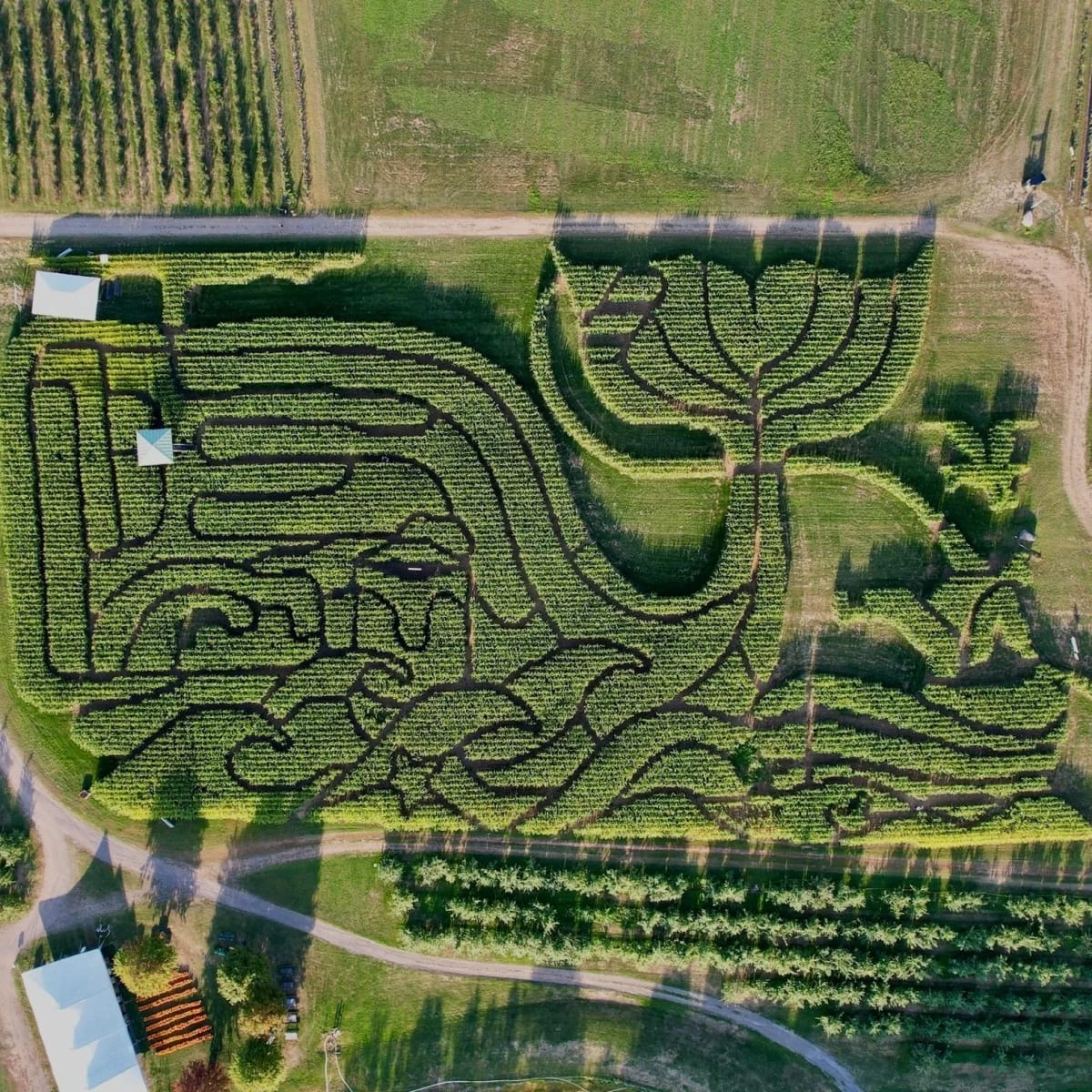 Treworgy Family Orchards photo 5