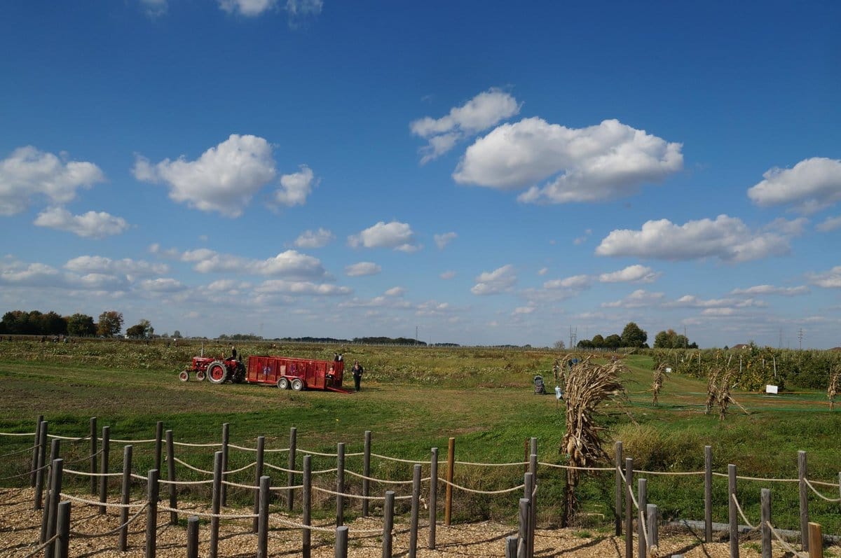 Tuttle Orchards photo 2