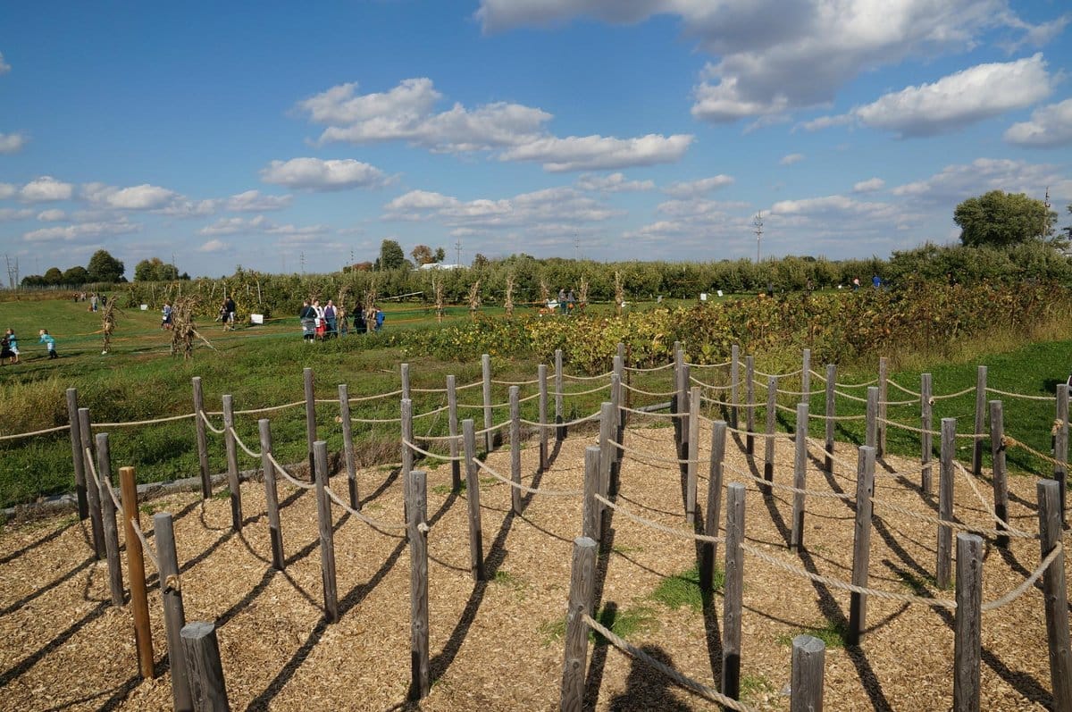 Tuttle Orchards photo 3