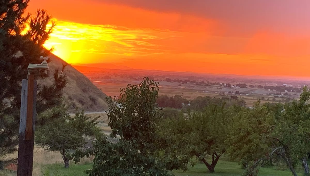 Tyler's Rocky Point Orchard — Apples farm in Emmett, ID