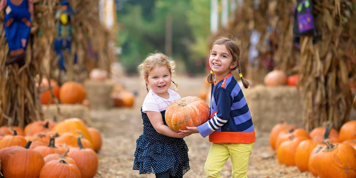 Uncle Shuck's Corn Maze & Pumpkin Patch — Pumpkins farm in Dawsonville, GA