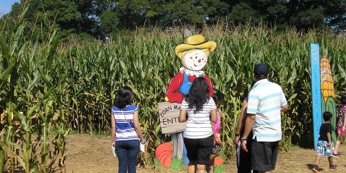 Uncle Shuck's Corn Maze & Pumpkin Patch photo 2