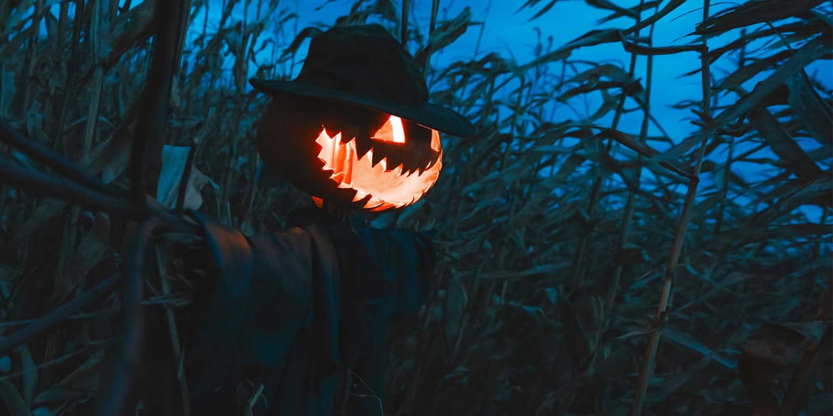 Uncle Shuck's Corn Maze & Pumpkin Patch photo 4