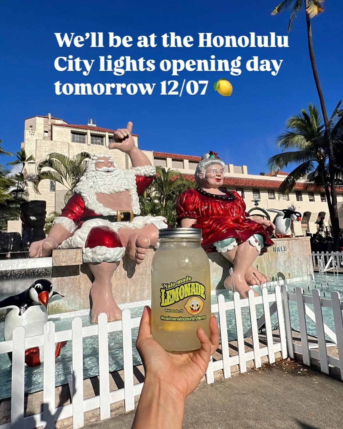 Come and see us at the Honolulu City Lights opening day tomorrow 12/07 from 4pm-10pm 🍋
#waimanalocountryfarms #nalomadelemonade #honolulucitylights